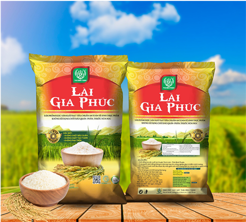 Gạo Tánh Linh – Tinh hoa gạo sạch từ vùng đất Bình Thuận